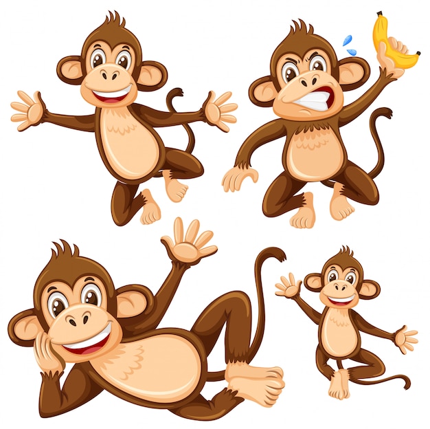 Set of monkey character