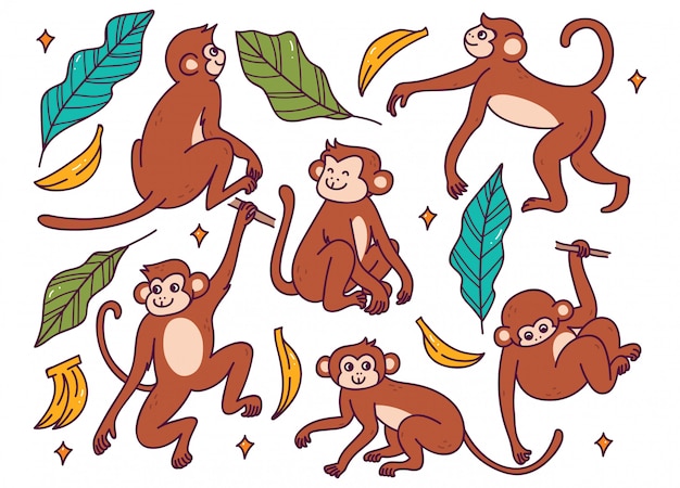 Set of Monkey in Different Poses Doodle