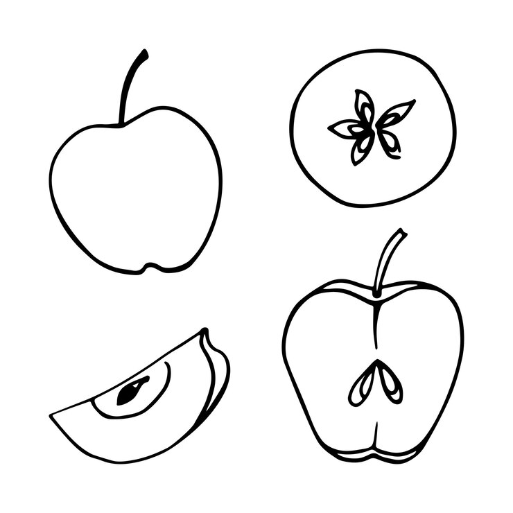 Vector set of monochrome apples in doodle style vector linear isolated elements on a white background