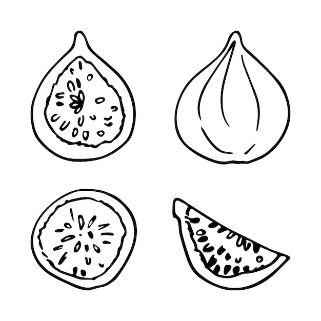 Set of monochrome figs in doodle style Vector linear isolated elements on a white background