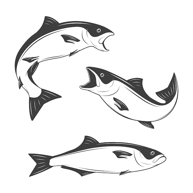 Set of monochrome  fish