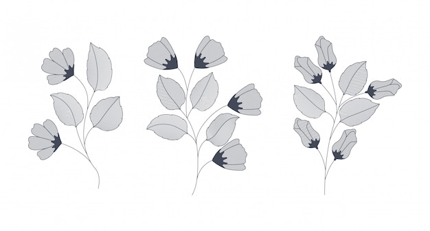 Set of monochrome flowers