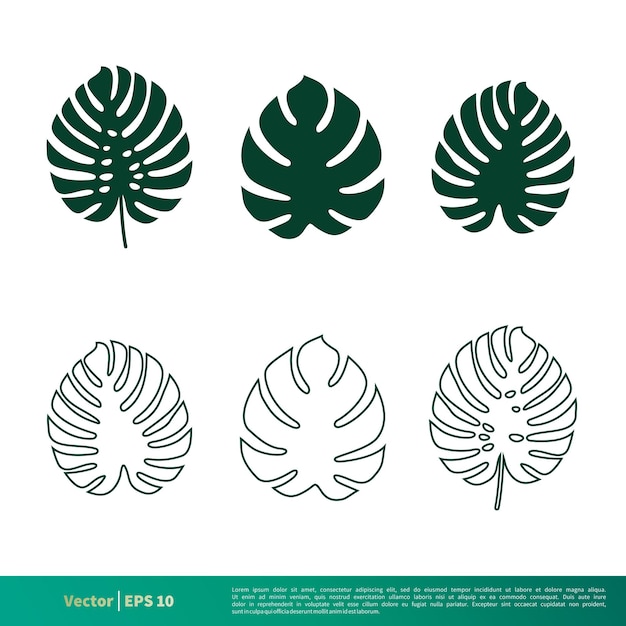 Вектор Набор векторных шаблонов логотипа monstera deliciosa leaf design vector eps 10