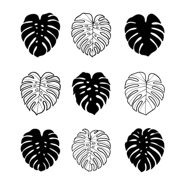 Vector set of monstera leaves silhouette