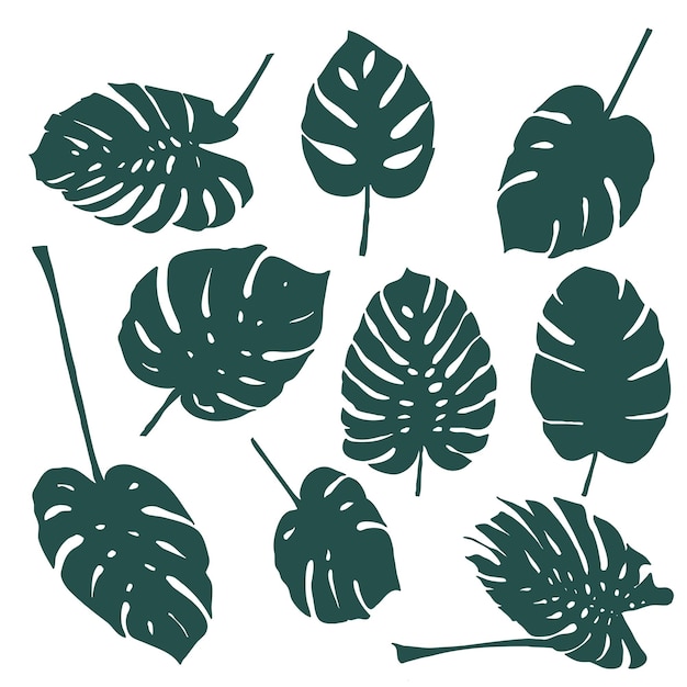 Vector set of monstera leaves silhouettes