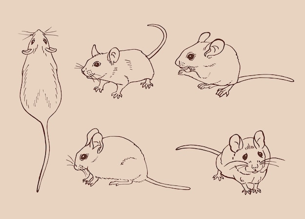 set of mouse hand drawn vector illustration ink style