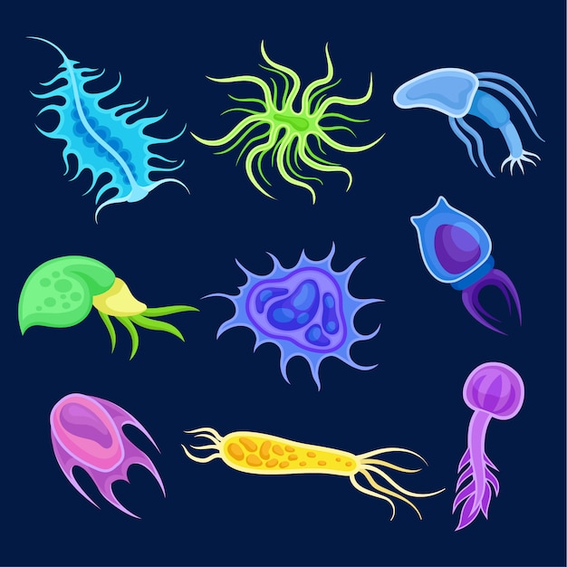 set of multicolored plankton.