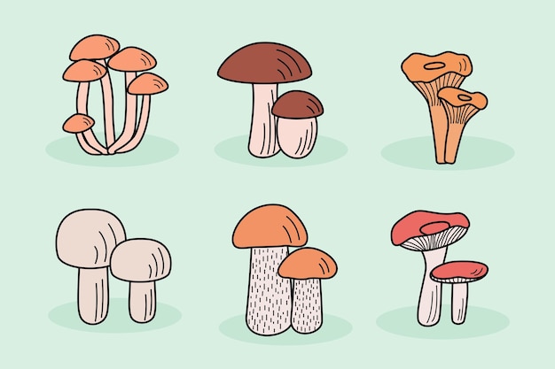 Set of mushroom icons vector Illustration of boletus chanterelles honey mushrooms aspen mushroom and russula