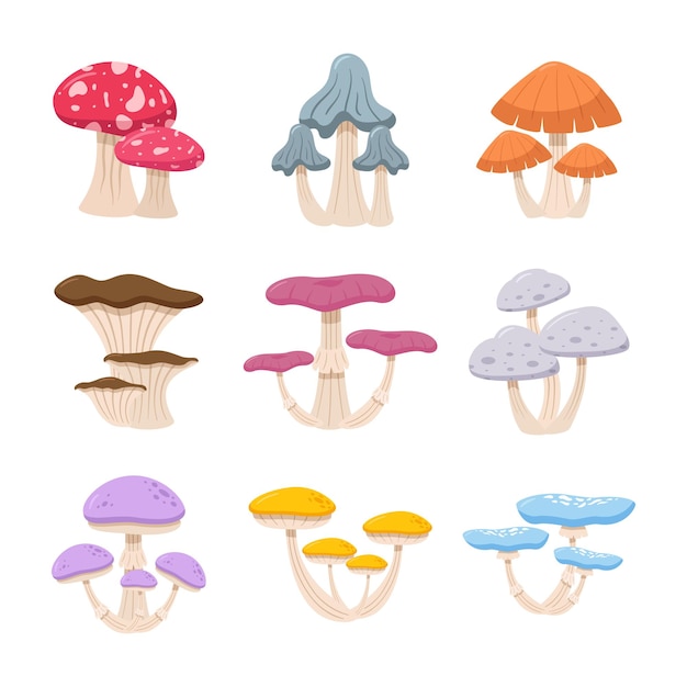 Set of mushroom illustration vector