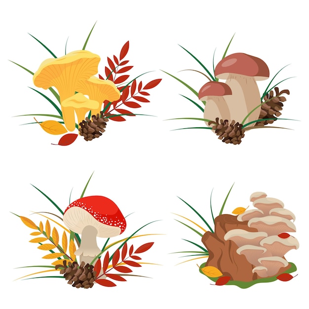 Vector set mushrooms in the grass. autumn pictures of mushrooms. forest illustrations. autumn foliage