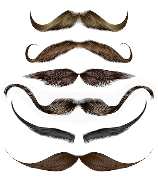 Vector set   mustache different colors.