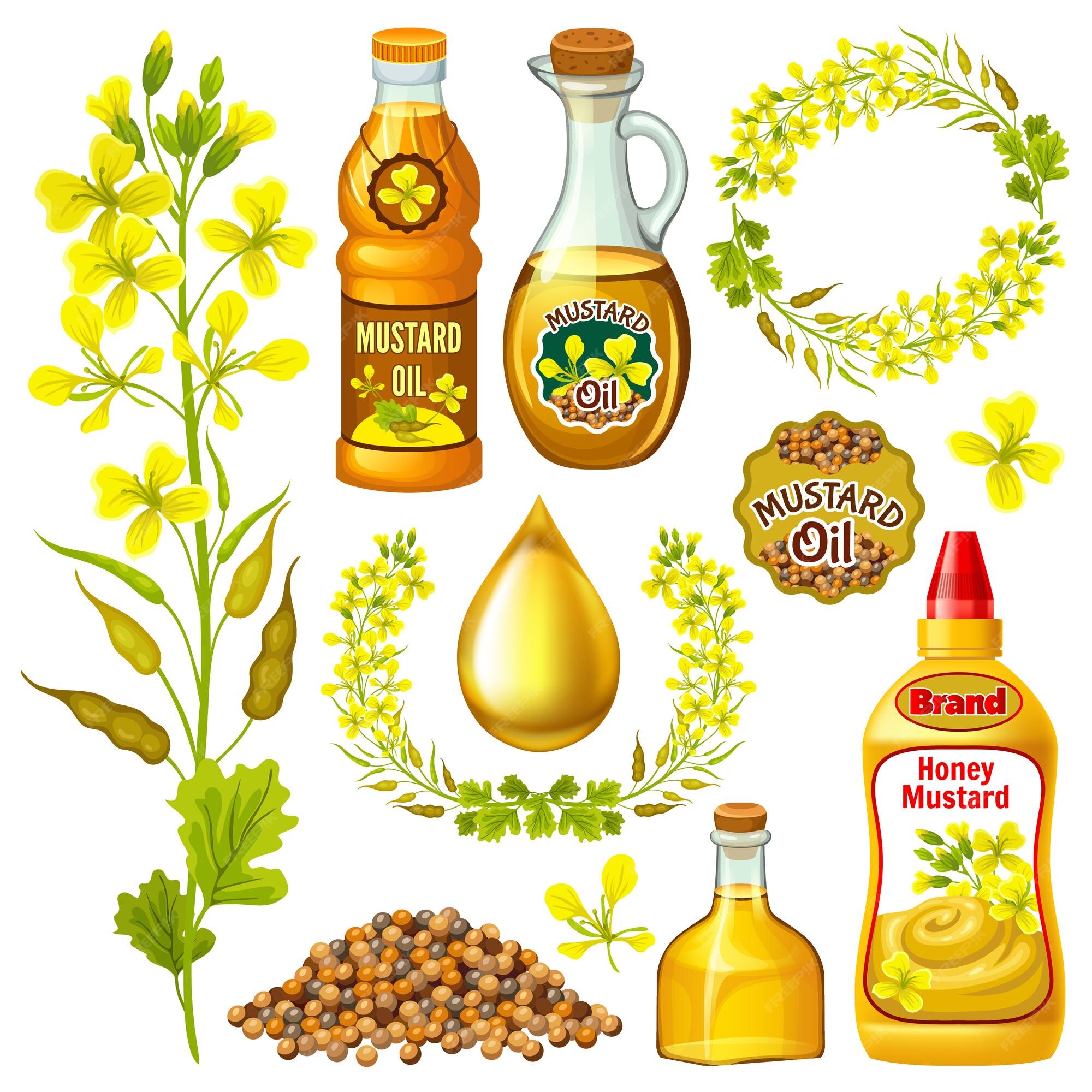 Page 2 | Mustard oil Vectors & Illustrations for Free Download | Freepik