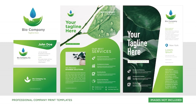 Vector set name card and flyer for corporate green base
