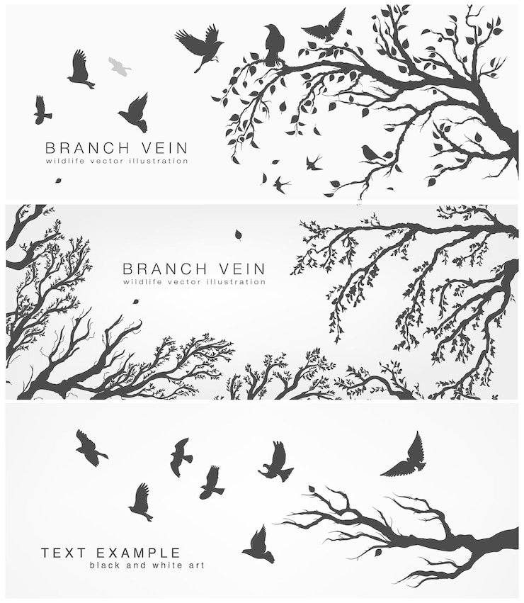 Vector set of natural banner for poster design. 
