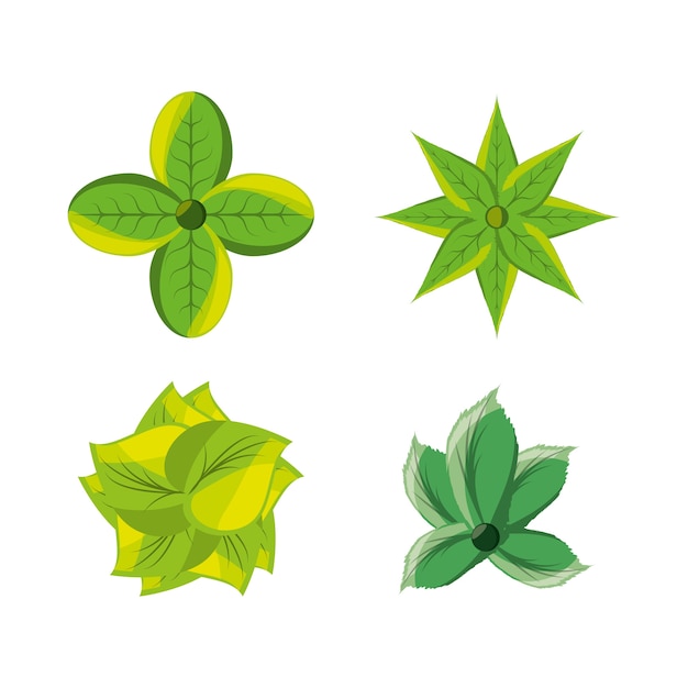 set of natural and ecology icons flowers design