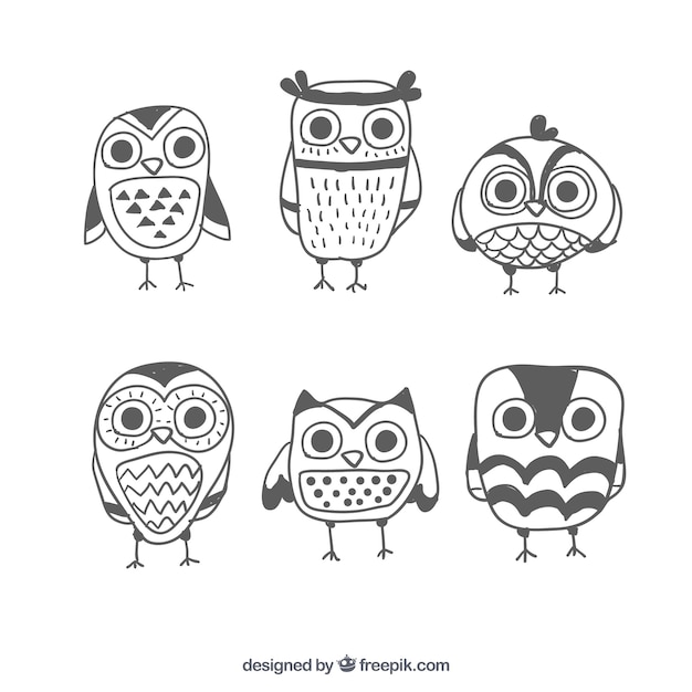 Vector set of nice hand drawn owls