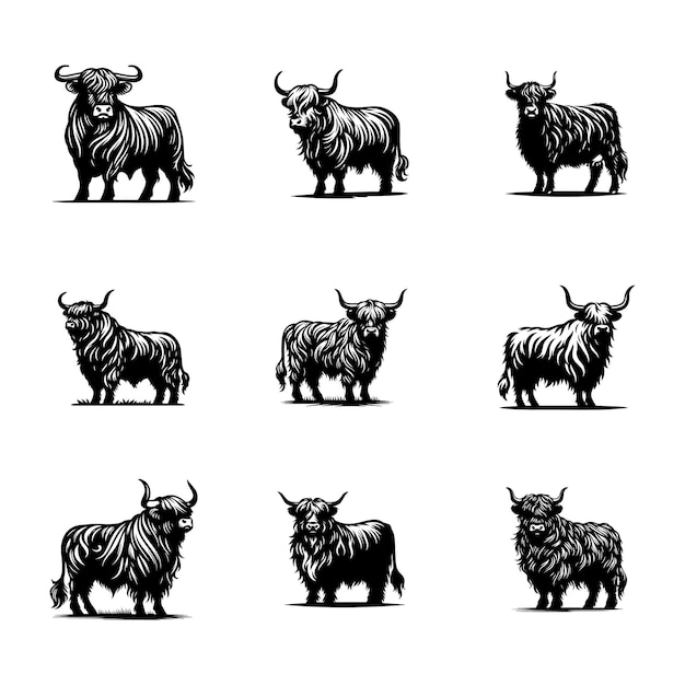 Vector set of nine stylized black and white illustrations of highland cattle