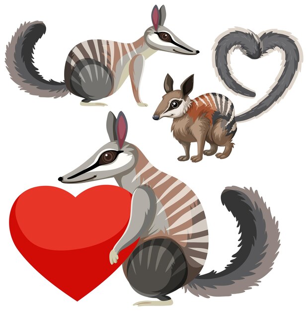 set of numbat cartoon character