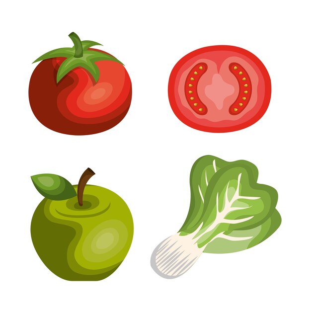 Vector set nutritive food isolated icons vector illustration design