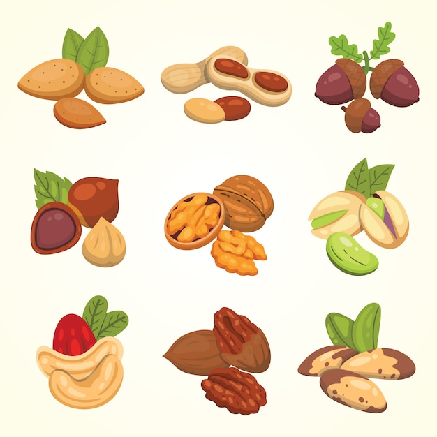 Vector set nuts in cartoon style. nut food collection. peanut, hazelnut, pistachio, cashew, pecan, walnut, brazil nut, almond