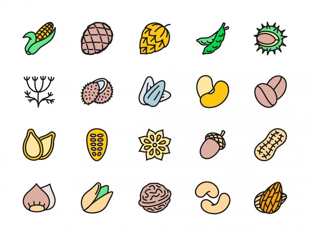 Set of nuts and seeds flat color icons. corn cob, peas, dill