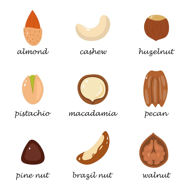 Vector set of nuts.