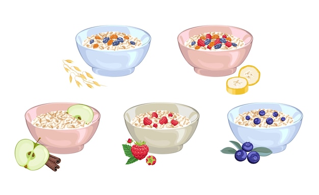 Set of Oat milk porridge in bowl with different berry and fruits