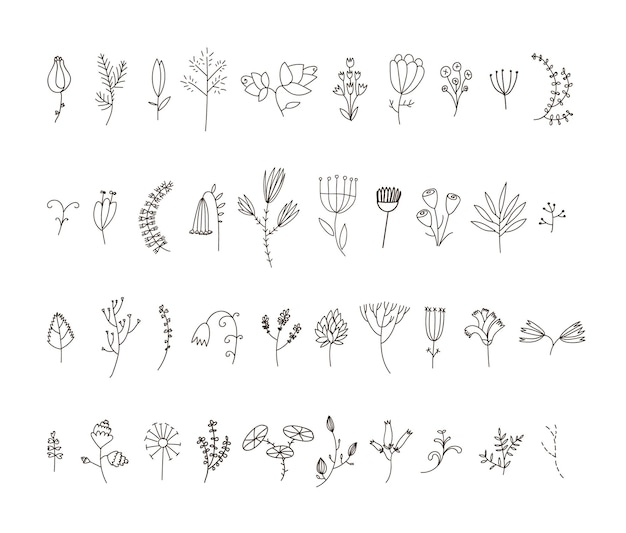 40の手描きの線の花と花のセット
