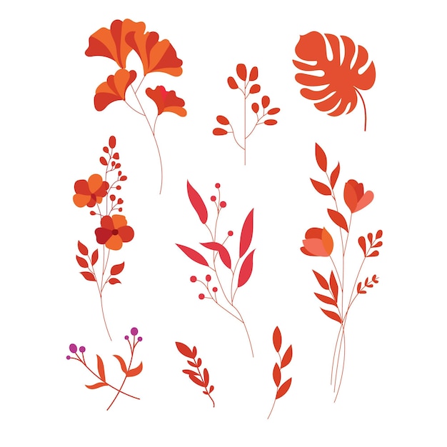 Вектор Набор осенних цветов, листьев и растений векторных иллюстраций.