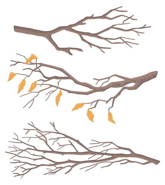 ベクトル 裸の枝のセット葉のない木の小枝のいたずら書き白い背景に分離された漫画ベクトル イラスト コレクション