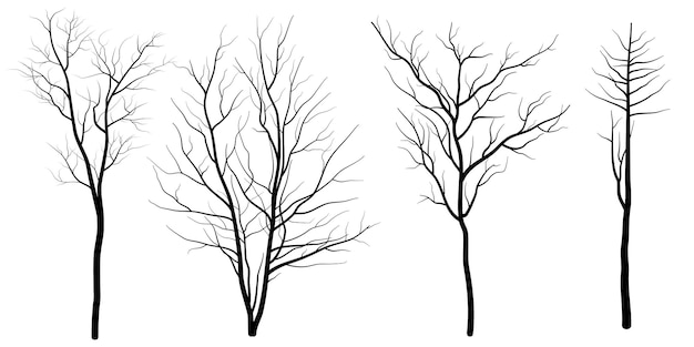 白い背景で隔離の葉のない裸の木のシルエットの枯れ木のセット