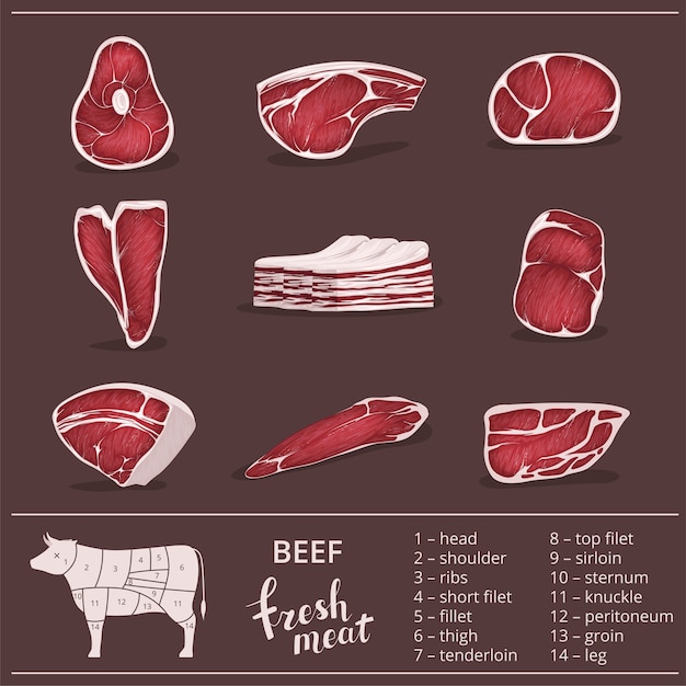 ベクトル 牛肉とステーキ、スライス、レストランと肉屋用の牛のセット。牛肉の牛肉の切り身の図とチャート。孤立したイラスト。