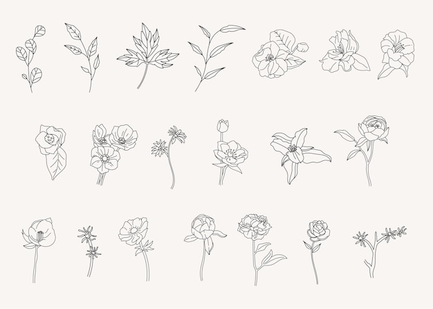 ベクトル 植物の葉の落書きライン アート手描きの花の装飾要素のセット