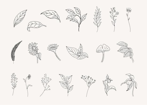 ベクトル 植物の葉の落書きライン アート手描きの花の装飾要素のセット