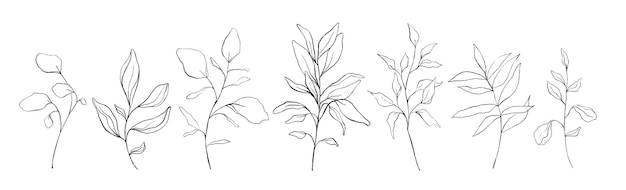 Набор ботанических линий искусства цветочные листья, растения. рука нарисованные эскиз ветвей, изолированные на белом фоне. векторная иллюстрация