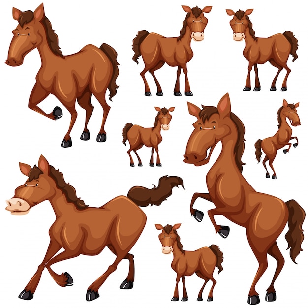Вектор Набор коричневой лошади во многих позициях иллюстрации