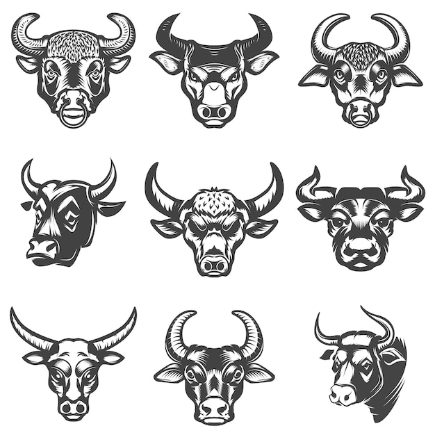 ベクトル 白い背景の上の雄牛の頭部のセット。ロゴ、ラベル、エンブレム、記号の要素。図