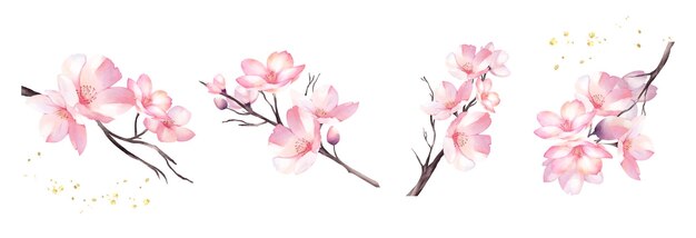 桜の花束水彩ベクトル要素デザインのセット