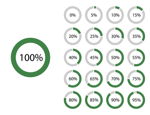 Набор диаграмм процентных кругов для инфографики