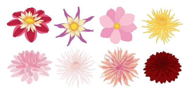 Набор красочных иллюстраций цветущих цветов