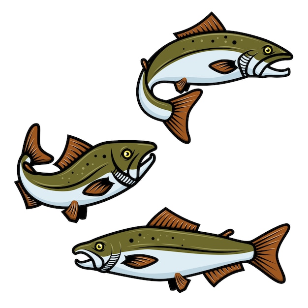白い背景の上のカラフルなサーモンの魚のサインのセット。マス釣り。ロゴ、ラベル、エンブレム、サインの要素。図