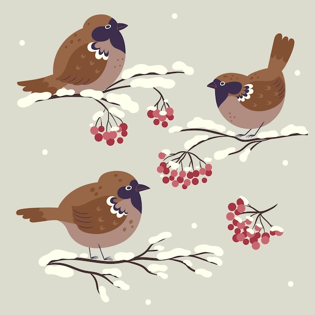벡터 마가목 가지에 앉아 있는 귀여운 겨울 참새 세트. 벡터 그래픽입니다.