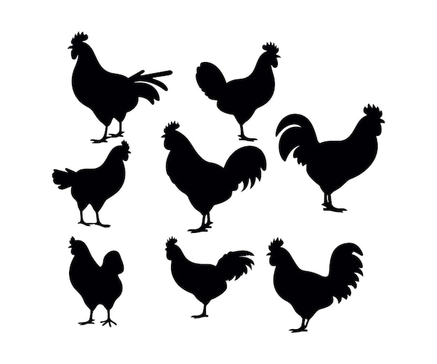 鶏、鶏、雄鶏の詳細な品質のベクトル シルエットのセット