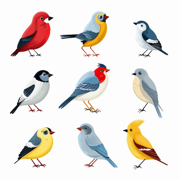 Vector set_of_different_bird_cartoon