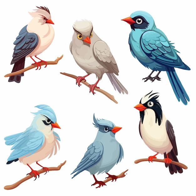 Vettore set_di_different_bird_cartoon