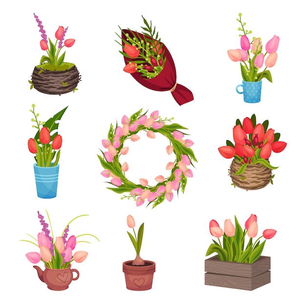 Набор различных изображений тюльпанов. собранные в венке, растут в горшке, стоять в вазе. векторное изображение