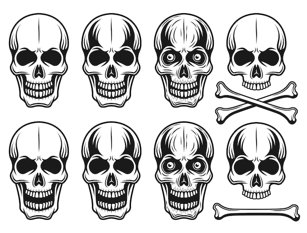 빈티지 흑백 스타일에 다른 변종 두개골 그림의 집합