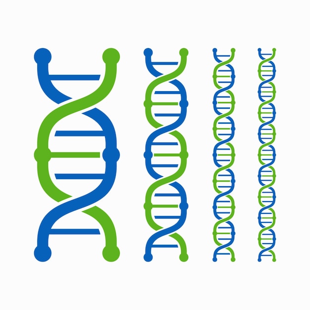 벡터 dna 나선 벡터 일러스트 레이 션의 집합