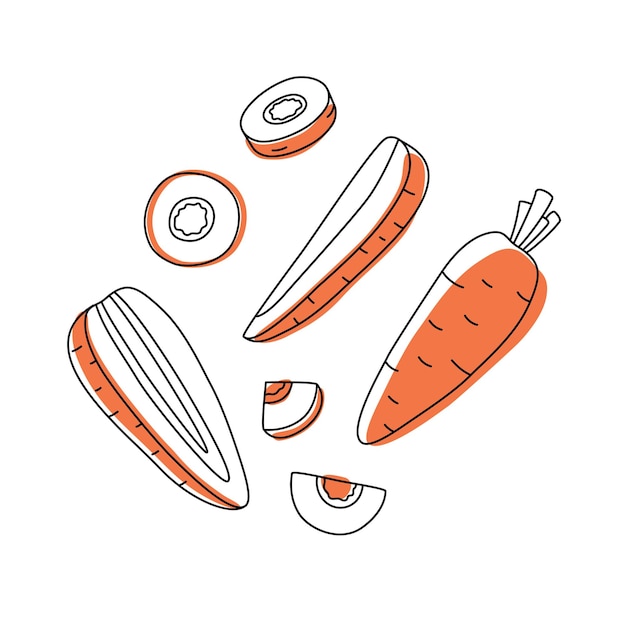 Вектор Набор набросков моркови с пятнами. целые кусочки и листья. векторная иллюстрация для упаковки.