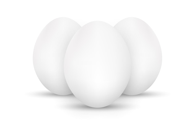 白 background.eggs template.realistic eggs.chicken eggs.vector に分離された卵のセット
